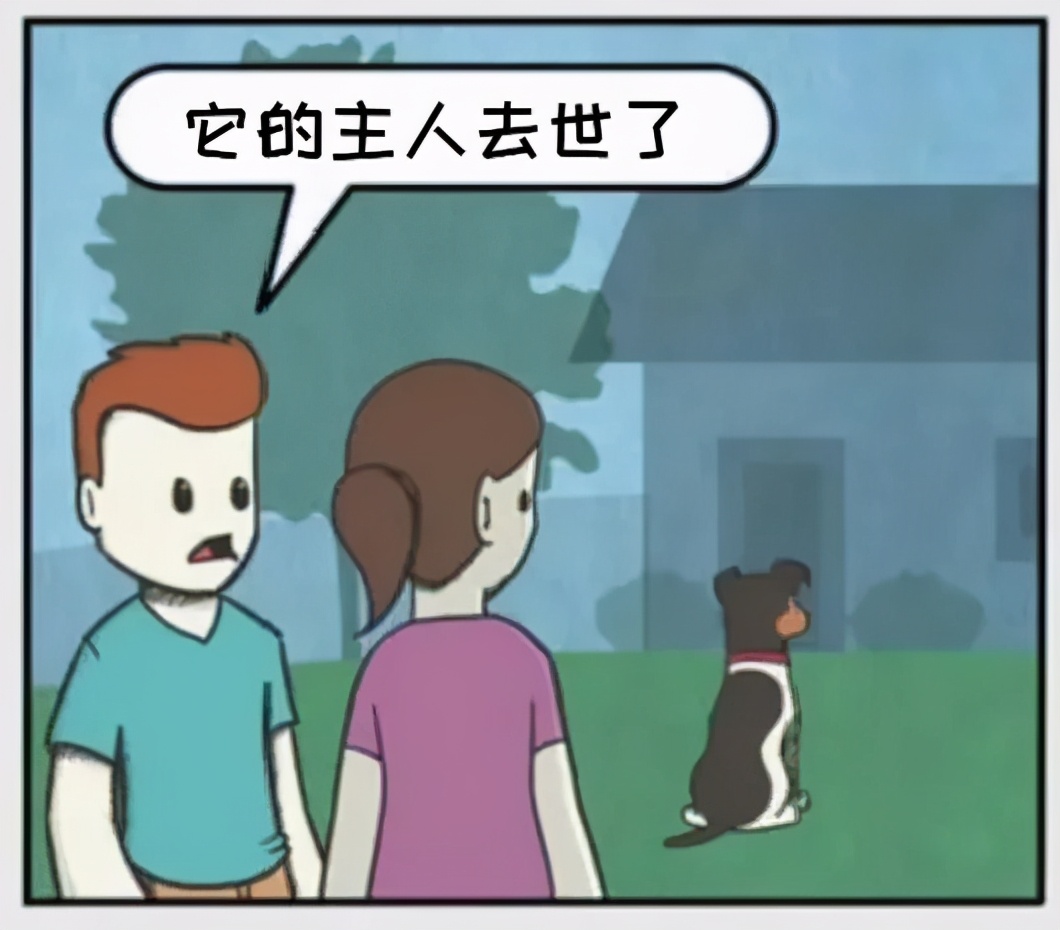 铲屎官和狗子的漫画,铲屎官和狗子们漫画