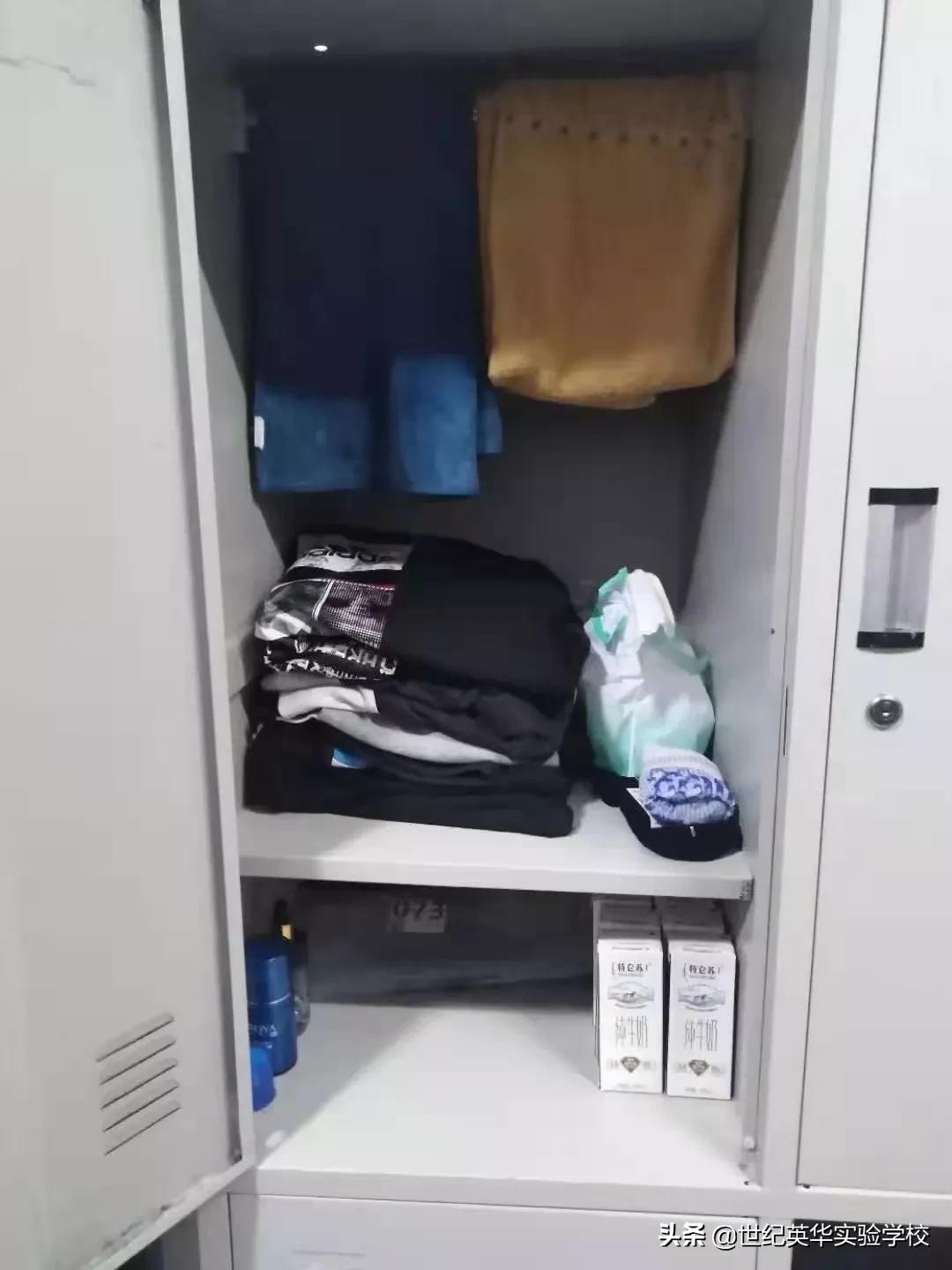 学会自律不负韶华读后感,严于律己宽以待人不负韶华