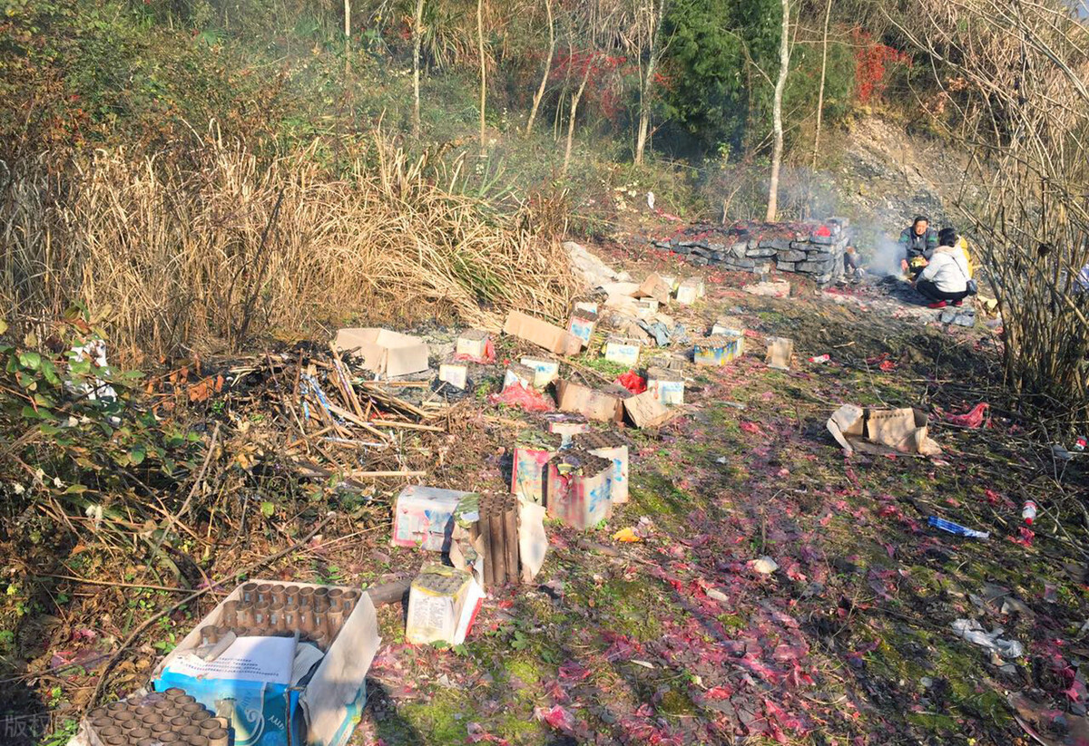 坟前枯树须迁坟是什么意思,坟前枯树须迁坟预示什么