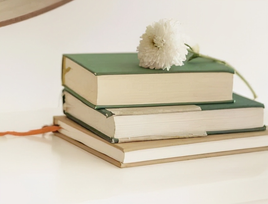 自媒体高权重运营技巧有哪些,新手运营如何提高京东标题的权重