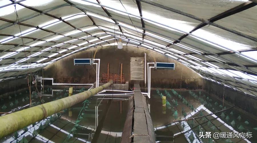 三大案例，带你走进农业种植大棚、畜牧养殖和水产养殖供热市场