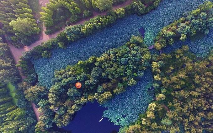 在空中游览中国,在空中看东方明珠的地方