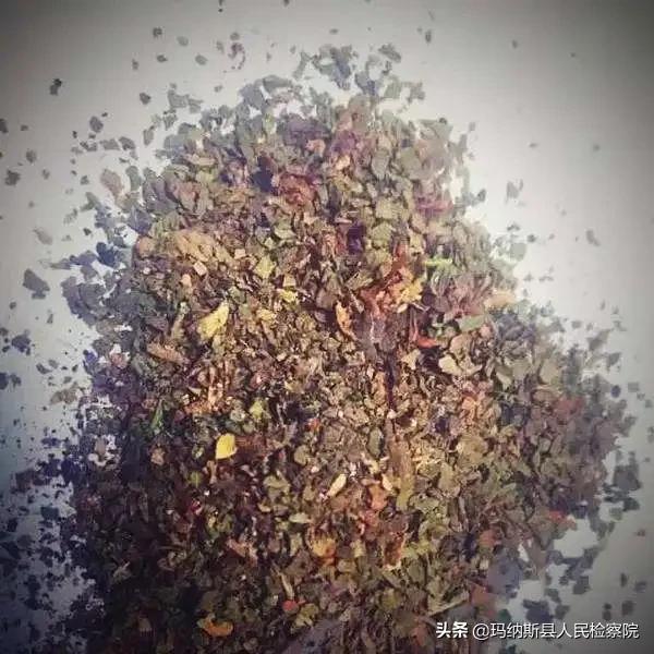 禁毒日全部内容,娜塔莎禁毒图片