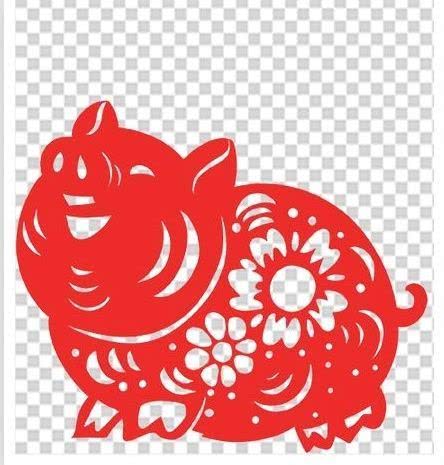 从丁亥到己亥—武昌水果湖中学六六届高三（1）班同学聚会本命年