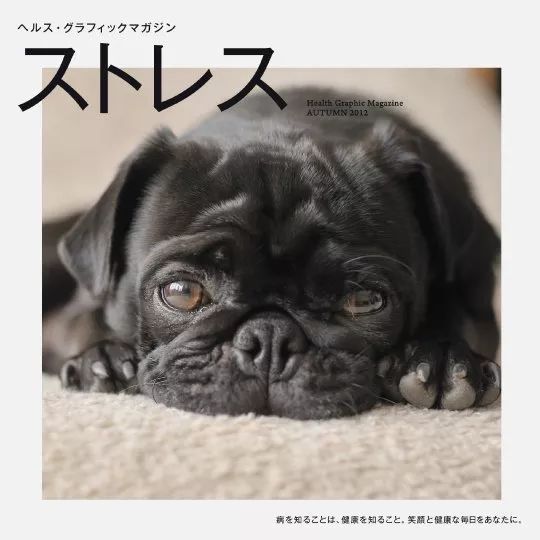 日本药局出版“大尺度”健康杂志脑洞大开，原来这么酷和炫！