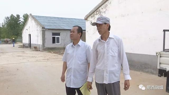 「壮丽70年奋斗新时代」肥西县农业农村局高级畜牧师董辉：开拓创新助推标准化养殖