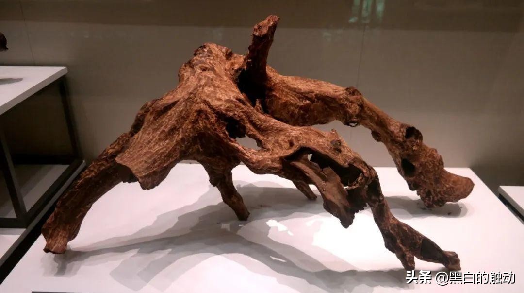 我们过年有哪些习俗,我们过年了舞蹈