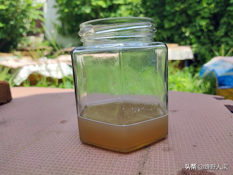 蜜蜂喜欢吃哪些蔬菜,蜂农的蜜蜂吃什么