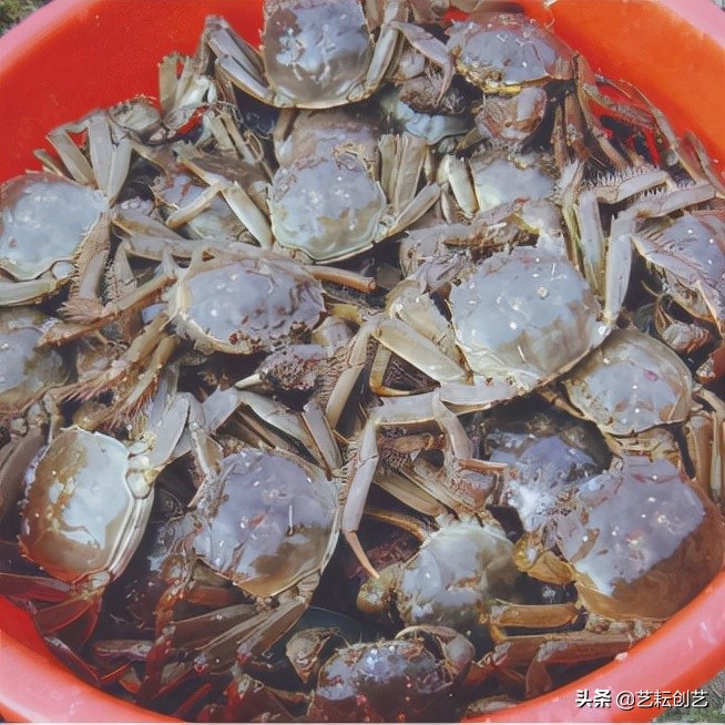 湖北标志性农产品,全国农产品地理标志目录四川