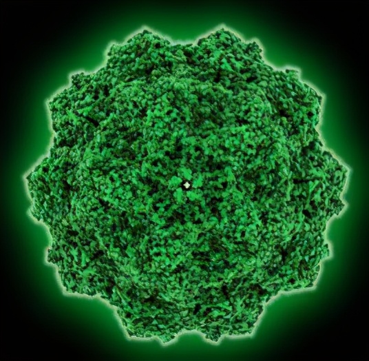 看狗狗怎样脱险,如何判断狗狗得了什么疾病