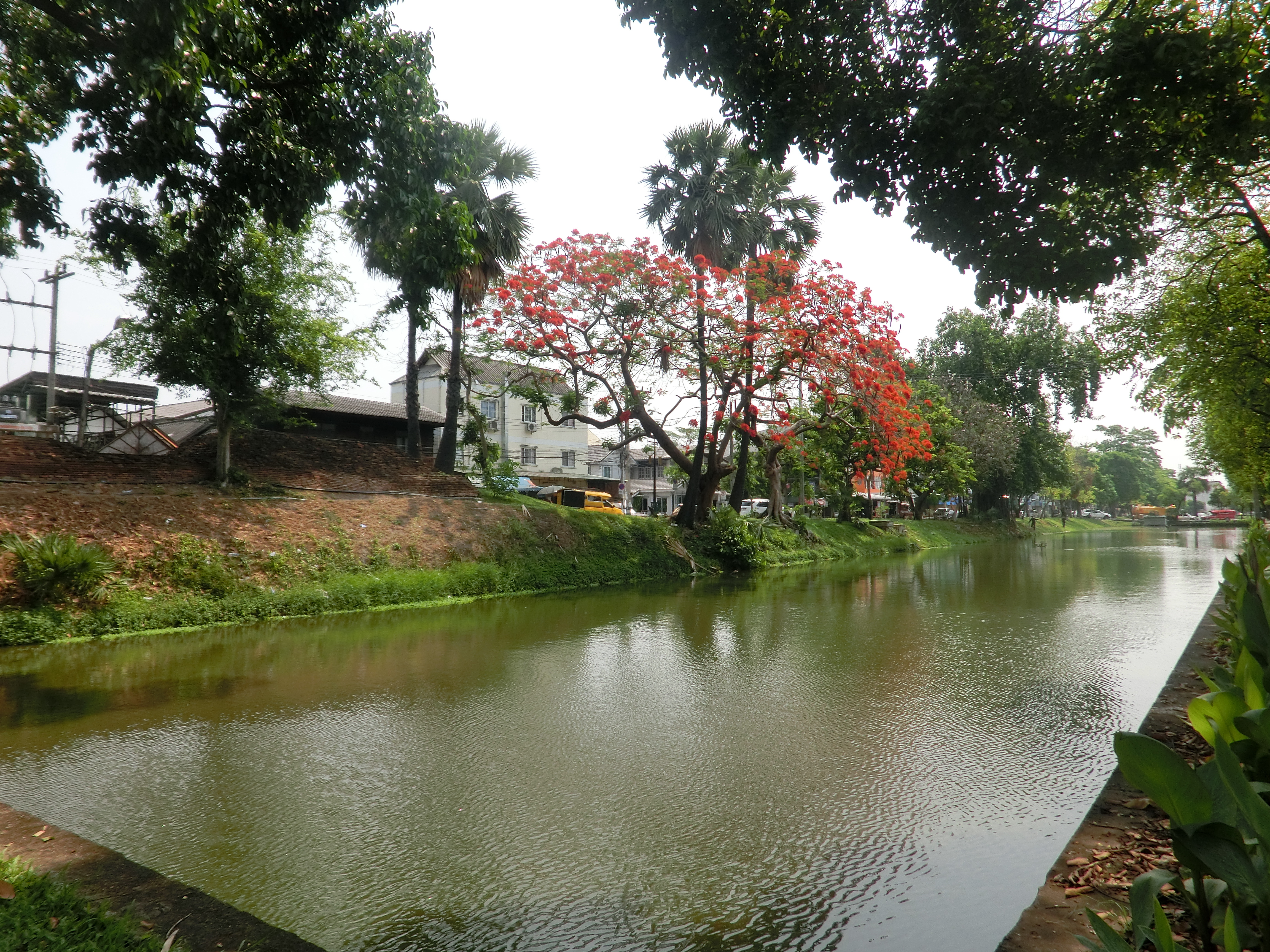 泰国清迈一座古都的历史,泰国清迈旅游攻略大全