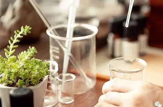 一点不输大牌的国货品牌护肤品,一些屹立不倒的护肤品大牌单品