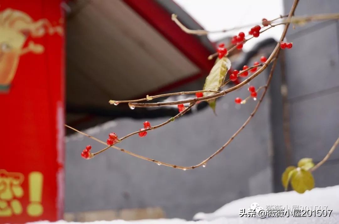 城市漫步,城市漫步郑州