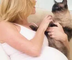 补钙胎儿头会大吗,补钙婴儿头硬