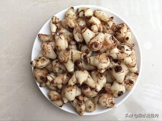 中医中药版生僻字,中药生僻字完整版