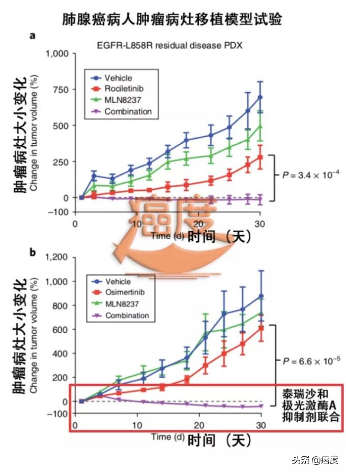 抗肿瘤靶向药物egfr,egfr靶向药物易瑞沙