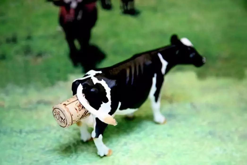 全球气候变暖对荷兰的影响,全球变暖会对荷兰产生怎样的影响