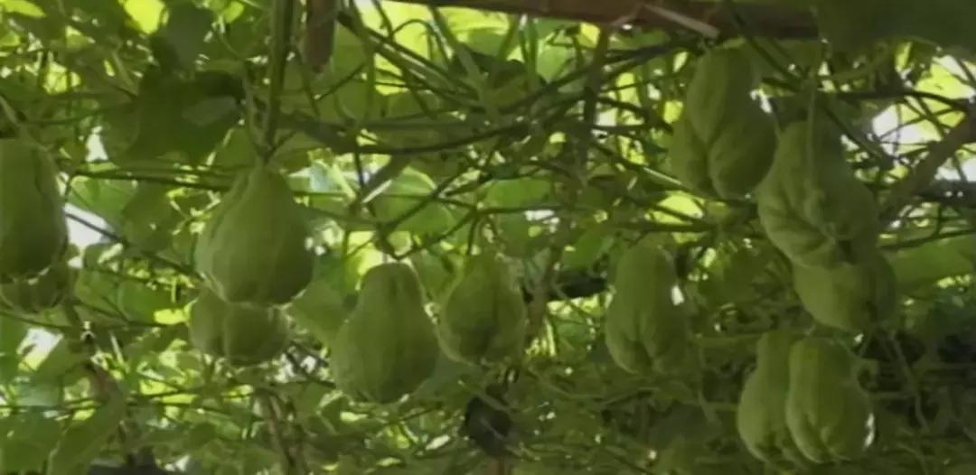 货好多物流怎么加盟需要多少钱,货多了怎么卖出去