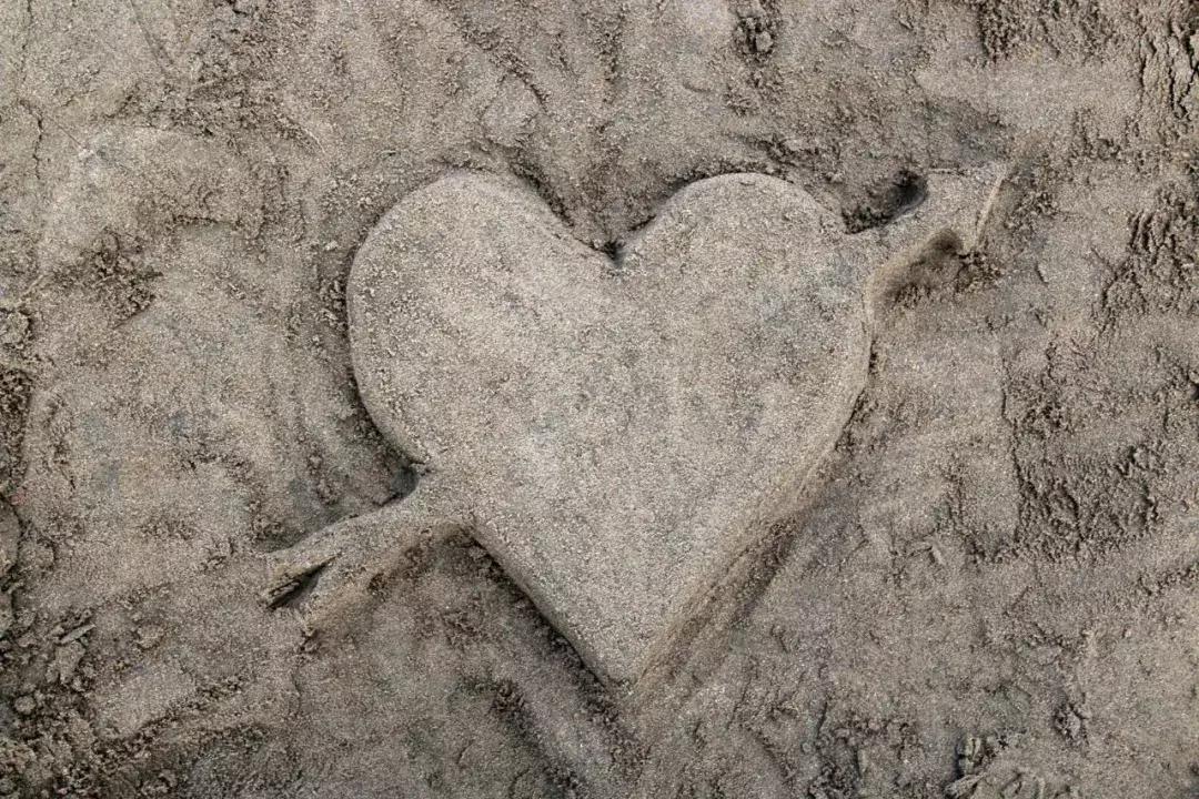 这样的海训我也报名参加