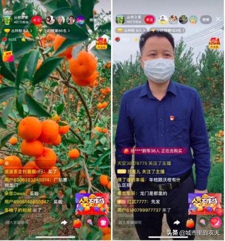 怎么购买各地特产,土特产走向全国