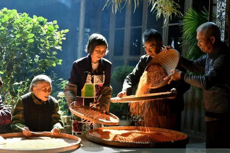 桂花香秋天的味道,南宁青秀山桂花盛开