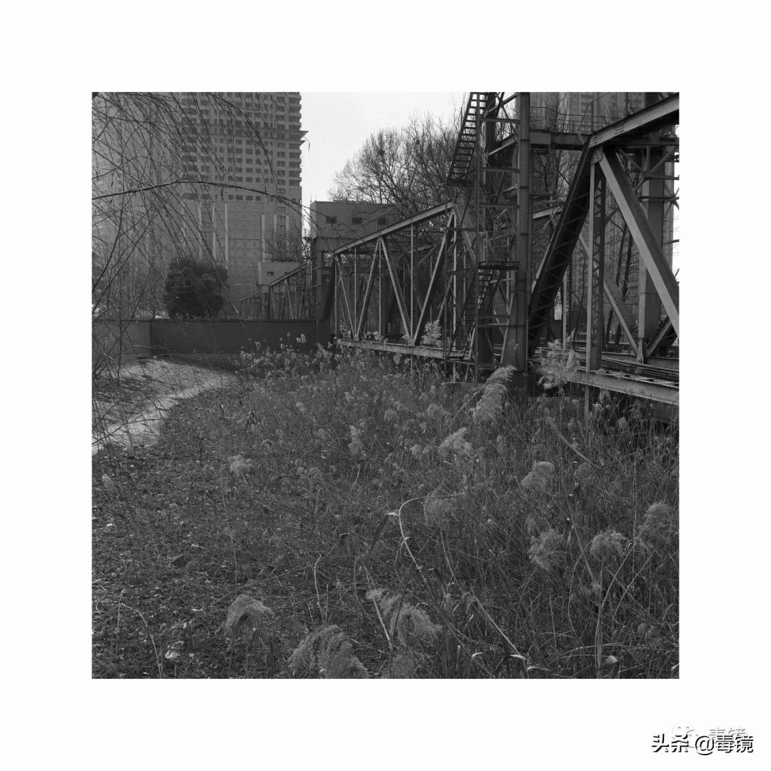 鎷掔粷缈昏溅妗堜緥,鎷掔粷缈昏溅