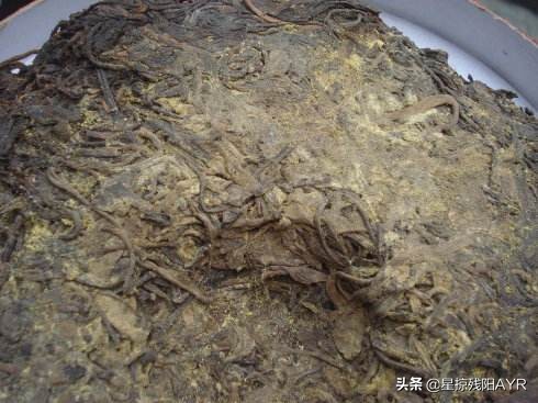 80年代有没有正宗普洱茶,真正的十年普洱茶