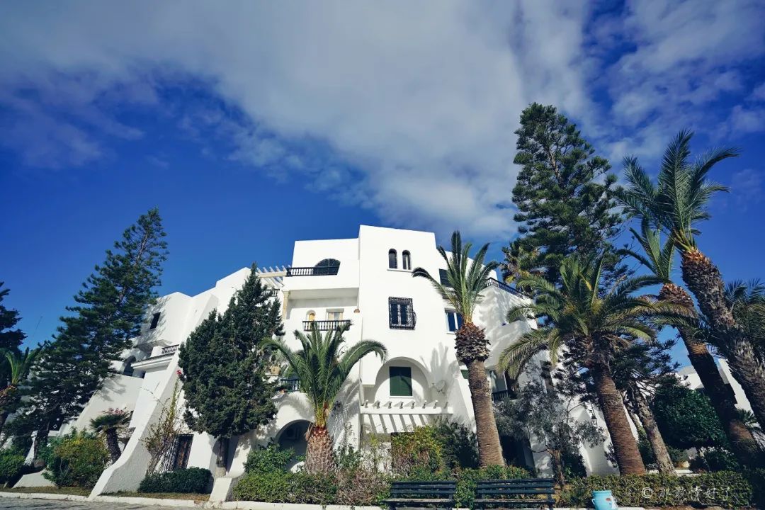 古代突尼斯城的港口,古老的地中海