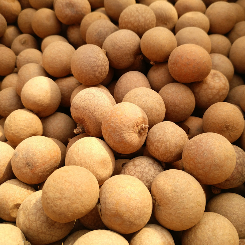 晒龙眼干没太阳咋办?教你2招实用技巧,即便下雨龙眼也不发霉