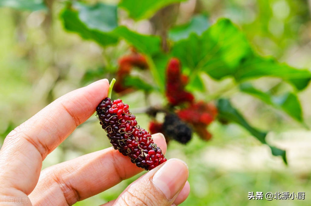 适合四五月份吃的应季水果,推荐这九种当季水果千万别错过