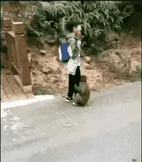 费玉清说唱视频大全,费玉清叶瑷菱说唱完整版