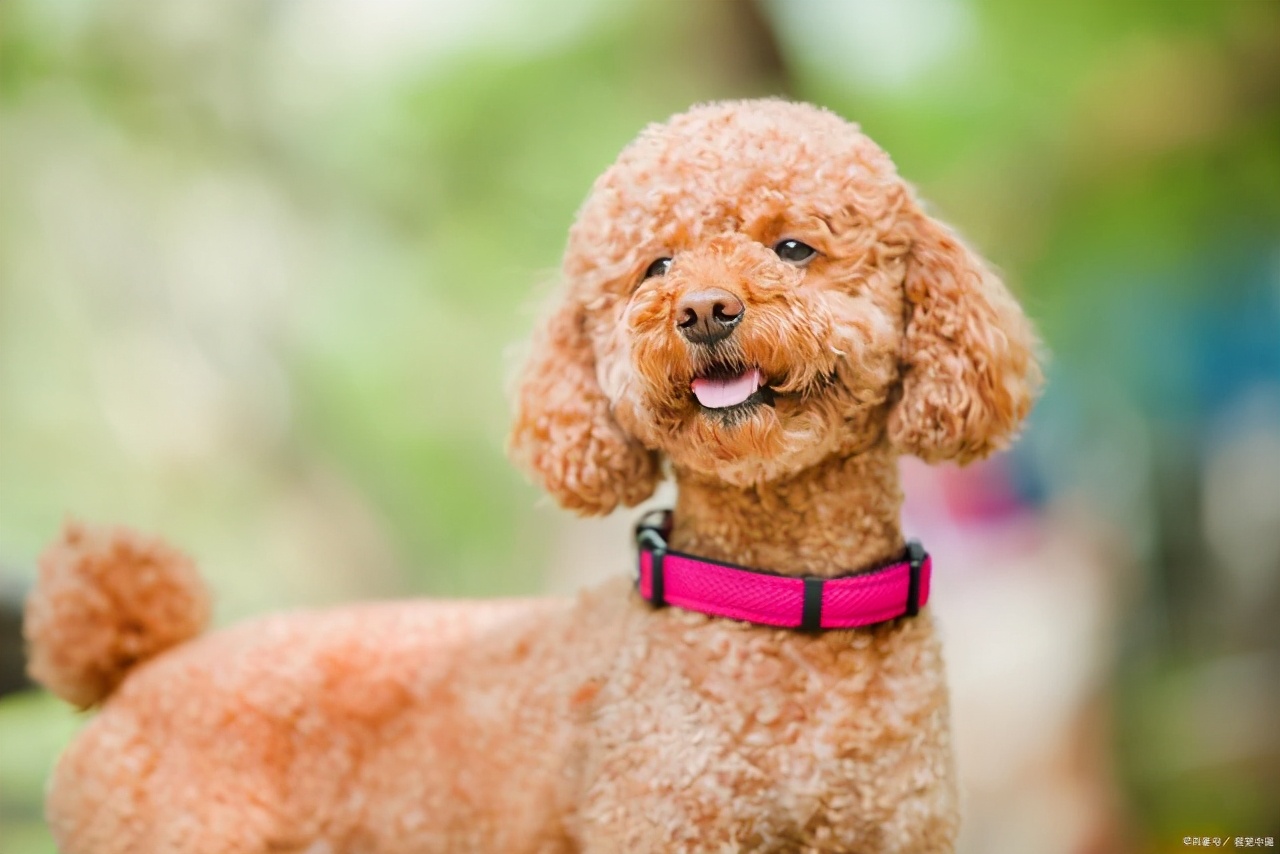 不善于人际交往怎么办教你一招,人际交往太差被讨厌该怎么办