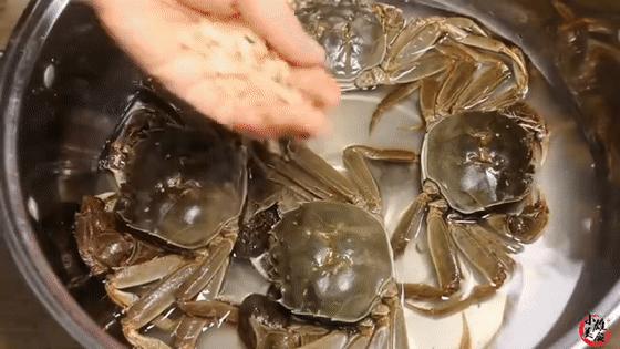 螃蟹怎样保存24小时不要放冰箱,螃蟹怎样保存才能放时间长点
