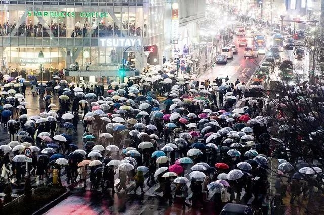 为什么日本人都用透明伞,透明伞有什么好处