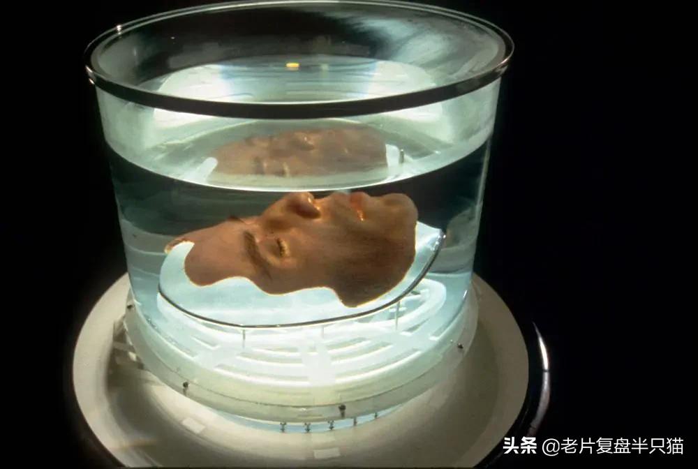 尼古拉斯凯奇从富豪变穷人的电影,尼古拉斯凯奇全部电影免费观看