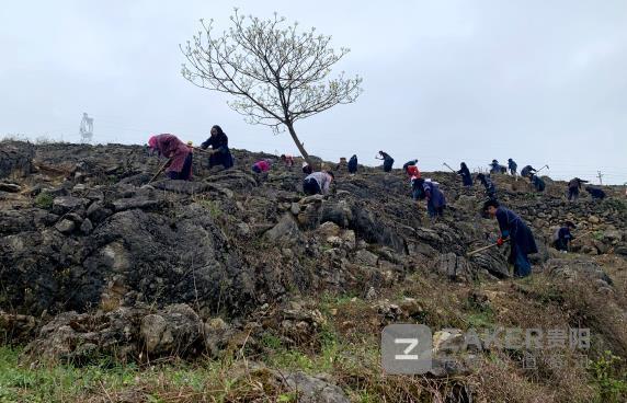 贵州脱贫攻坚五大产业,脱贫攻坚贵州