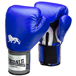 世界拳击排名前十名,世界拳击运动品牌