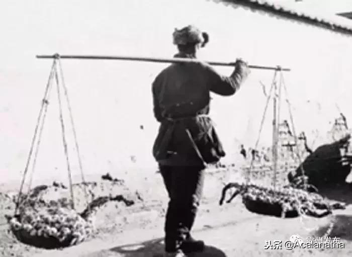 霸州土产公司老照片,霸州老城区图片