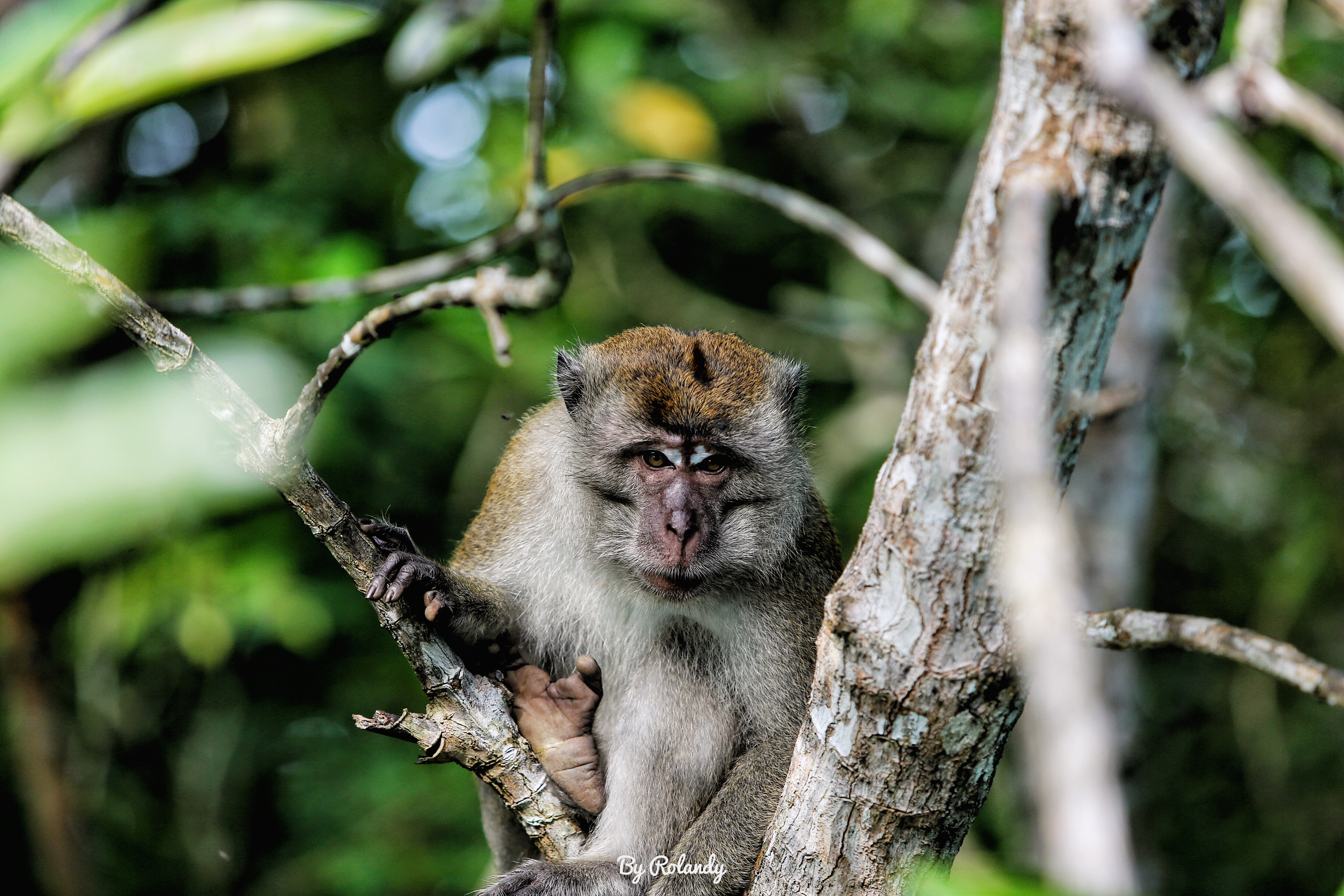 民丹岛最佳旅游季节,民丹岛旅游价格