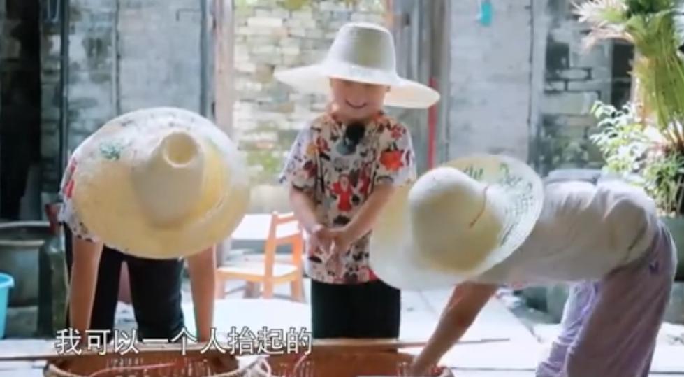 纯素人、偏公益,《谁知盘中餐》为何一举拿下四网省级卫视第一