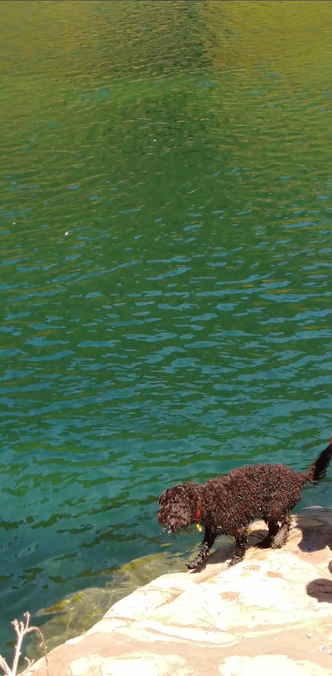 记忆中的旅行之新西兰(北岛)