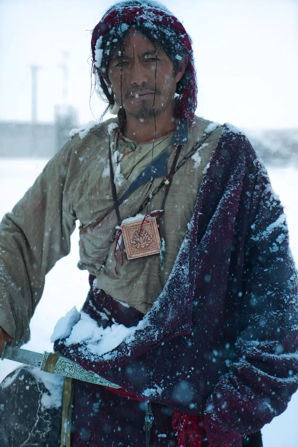 两个金巴其实是一个金巴|撞死了一只羊