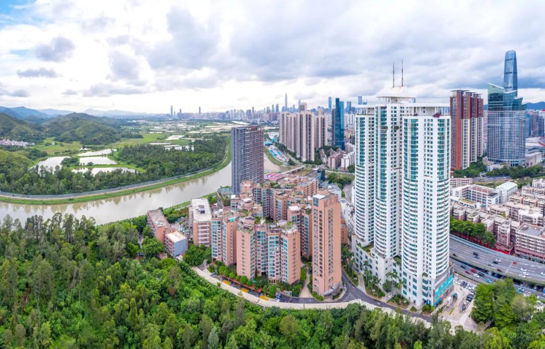 为你读诗叶小纲,为你读诗步入丛林