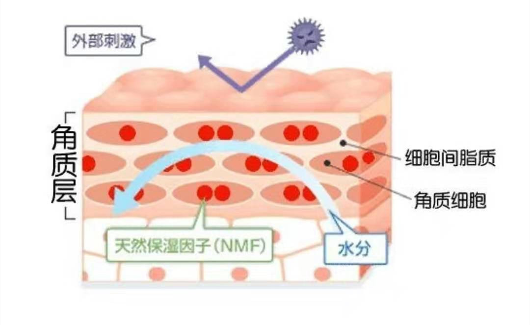 郁美净无硅油儿童面霜,郁美净为什么突然买不到了