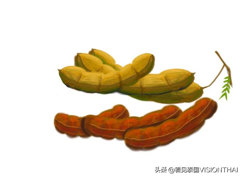 认识50种水果蔬菜,认识热带水果菠萝