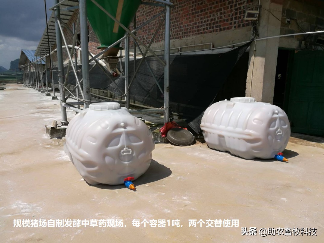 非洲猪瘟采用中草药的配方和运用方法推荐