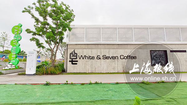 杨浦最新网红打卡,上海杨浦区网红打卡