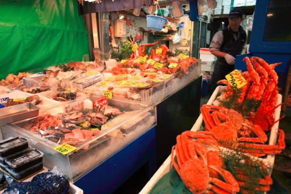 东京游记攻略,东京旅游指南攻略