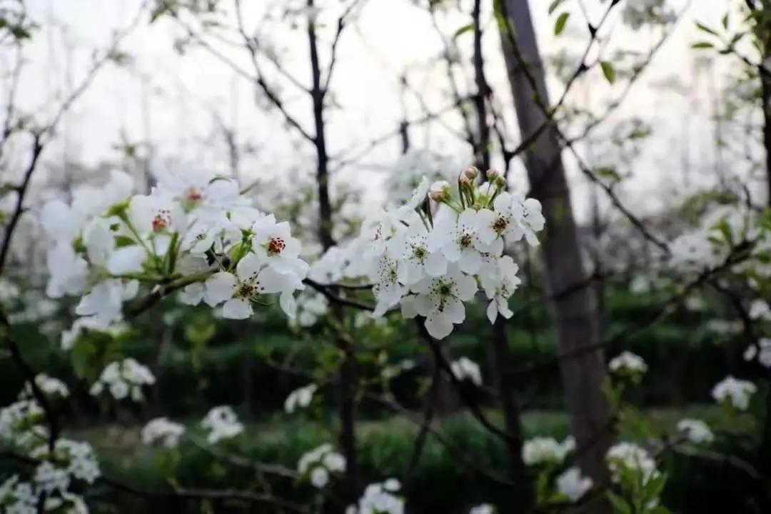 济南踏青旅游攻略,济南哪里的温泉适合带孩子去的