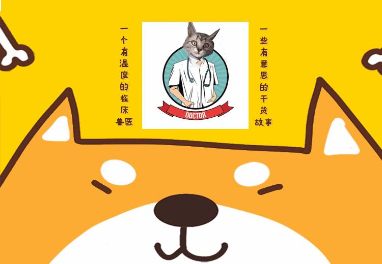 当“村霸鹅”前往英国,会不会有另一副景象?鹅:现在请叫我国霸